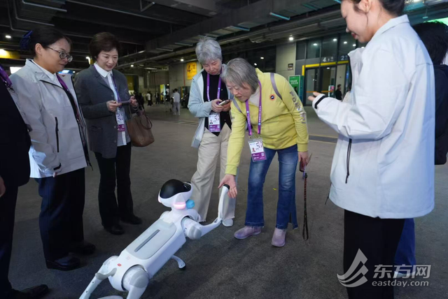 从数字底座到人文关怀，“硬核”科技与“柔性”服务共筑进博精彩