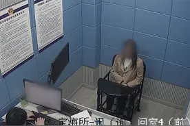 杨浦警方侦破一起“教育掮客”诈骗案，涉案金额高达数百万元图片