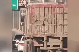 北京北五环一大货车随意连续变道，“狂飙”逃窜！驾驶员被刑拘图片