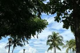 大学生29天从上海坐公交到新加坡？当事人：花费不到三千，有些路程坐火车图片