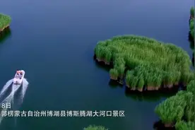 世界海洋日 | 离海最远的新疆，有太多故事要讲图片