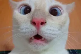 热热热！直逼30℃！深圳未来天气……图片