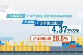 4.2万亿元！粤港澳大湾区内地九市外贸规模创新高图片
