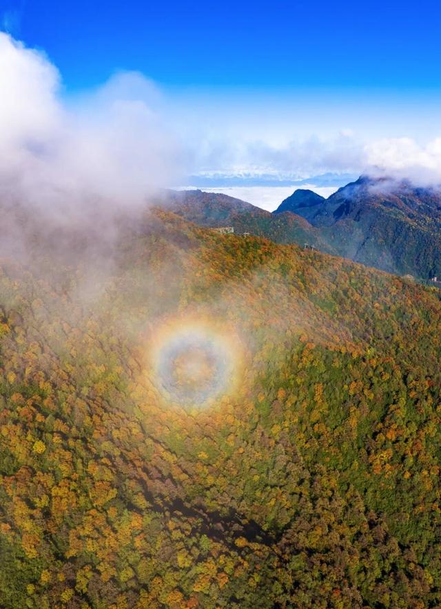 来瓦屋山沉浸式徒步！与漫山秋色撞个满怀！