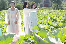 湘莲深处夏意浓 农旅融合兴乡村图片