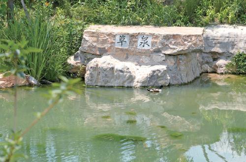 视觉 | 济南再现千年白泉涌沙奇观 生态修复重现诗意泉城