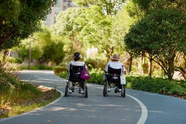 轮椅上高铁受阻：加装“电动车头”不应成拦路虎 | 新京报快评