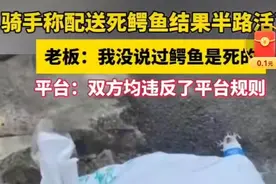 广州骑手接单运送的“死鳄鱼”半路复活！平台存漏洞委托方或担刑……图片