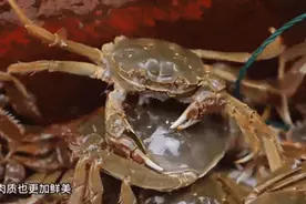 终于轮到江浙沪不包邮了！新疆三文鱼到底能不能生吃图片