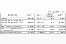 破发股纳芯微2024增亏 2022上市超募48亿光大证券保荐图片