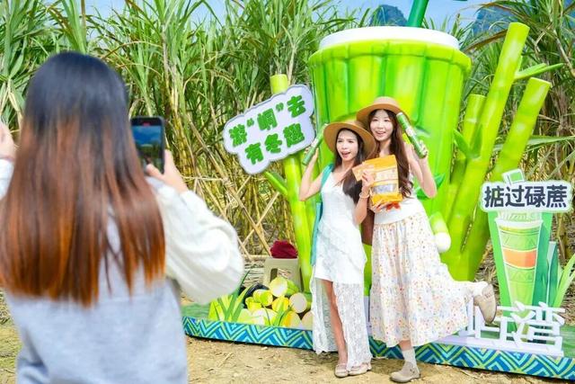 八桂冬日似春朝 赏花观叶正当时