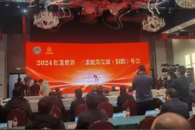 2024 红茶世界・三茶统筹发展（桐柏）年会成功举办图片