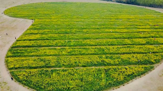 免费！火热！很多无锡人正在赶去