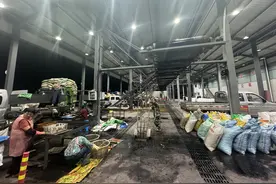 今年正式营业，每天20多万斤！临安山核桃脱蒲中心传来最新行情图片