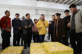 世界第一！图片