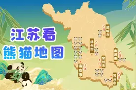 叮！“江苏看熊猫地图”请您查收，最多的点有8只图片
