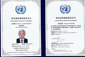 烟台籍艺术家孙泳新当选联合国特邀观察员图片