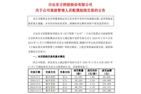 20天15板“大牛股”公告：公司高管配偶短线交易，盈利13.83万元，已全部上缴！图片
