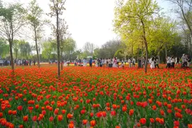 郑州绿博园：清明假期人气爆棚 优质服务广获好评图片