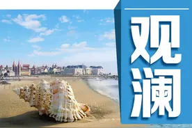 观澜丨神奇的马齿苋图片