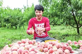 血桃园有了大学生图片