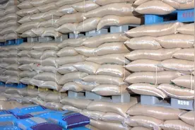 揭秘餐桌上的宝石：营养丰富，用途广泛的豆类家族图片