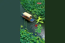 节韵汇丨一年中最热的时期来了，大暑养生知识敲重点！图片