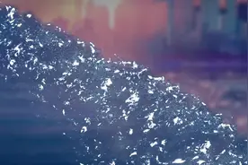 连云港：我与山海之城的“开放故事”图片