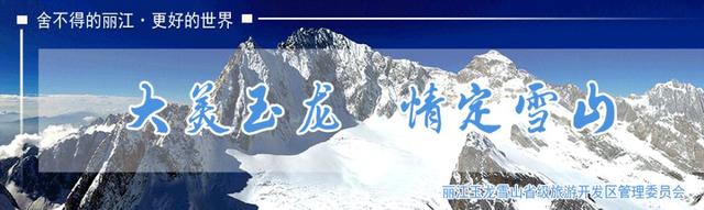 “哪儿凉快哪儿待着去”？我选云南！丨有一种叫云南的生活之365天