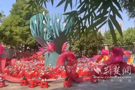 育才实验幼儿园“车”主题项目式探究显成效图片