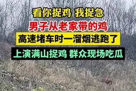 男子从老家带的鸡高速堵车时一溜烟逃跑了，上演满山捉鸡 群众现场吃瓜图片