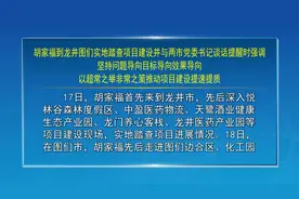 【视频新闻】胡家福到龙井图们实地踏查项目建设并与两市党委书记谈话提醒时强调 坚持问题导向目标导向效果导向 以超常之举非常之策推动项目建设提速提质图片