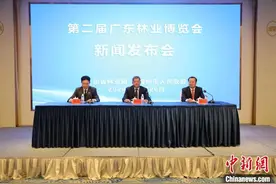 广东累计安排涉农资金约10.3亿元支持林业产业发展图片