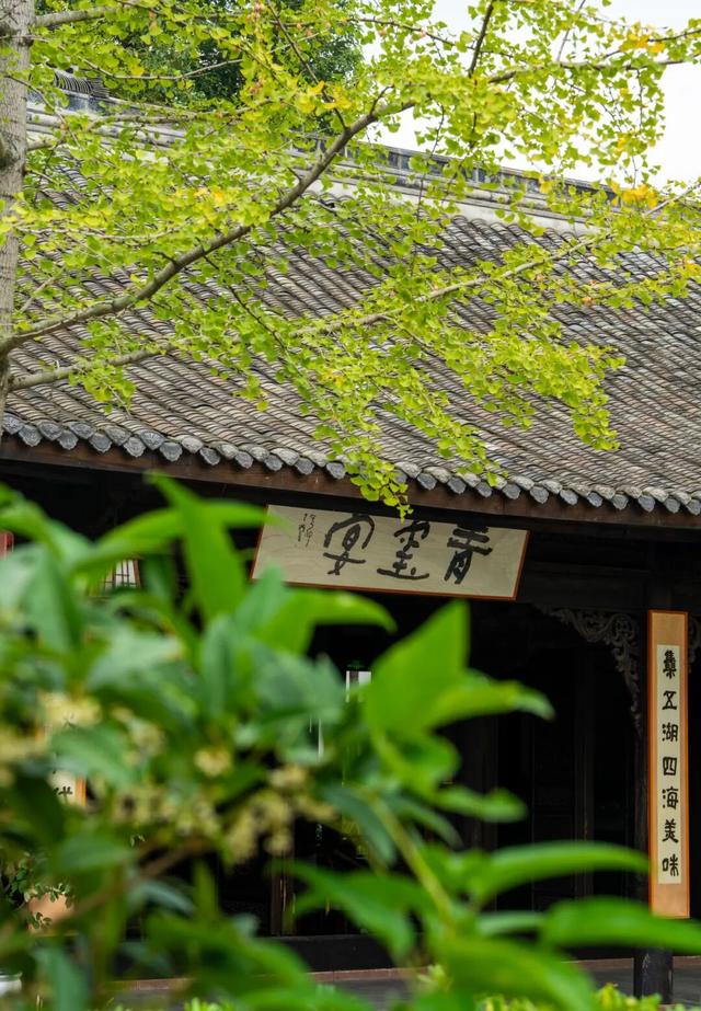 包出片的~城厢古城桂花打卡计划，走起→