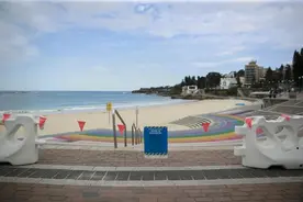 大量神秘球状物现身，9处海滩关闭！图片