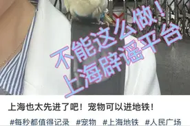 频繁上热搜，竟然还有人传授“攻略”！仓鼠为什么不能上地铁图片