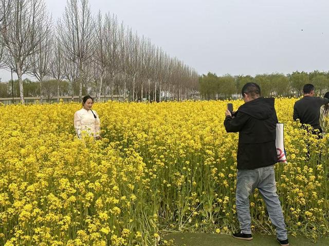 春染兰陵花正好，与临沂文旅共赴一场“花事盛宴”