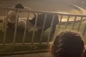 成都一动物园黑熊失控撕咬驯兽师？现场观众：还以为是表演一部分图片