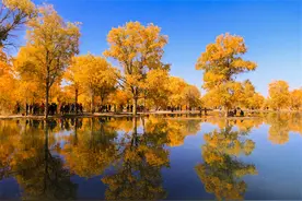 开往至美秋天的专列：遇见额济纳胡杨林，遇见光雾山红叶图片