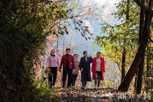 蕲春塔林的秋天，让人不愿离开