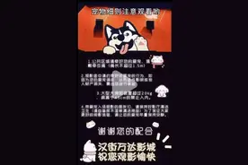 武汉一影院开设宠物厅，只允许小型犬观影，业内人士：密闭空间的强光对狗并不友好图片