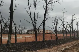 （外代一线）马来西亚燃气管道爆炸大火已扑灭 百余人受伤图片