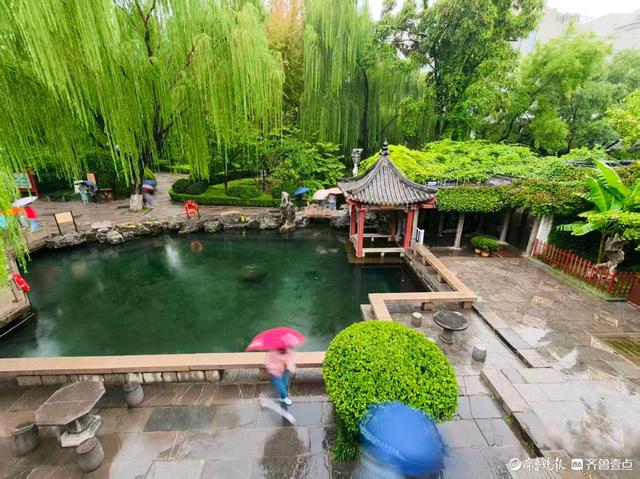 济南雨中的五龙潭公园更美丽