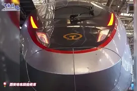 实拍！复兴号霸气“变脸”！图片
