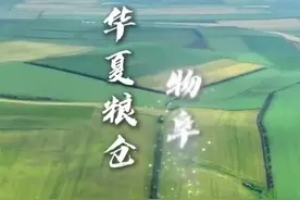 董宇辉5天河南行，留下了什么？丨极刻图片