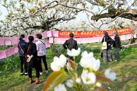 婚恋机构做局，从云南“买”老婆：一桩涉案上千万的组团骗婚图片