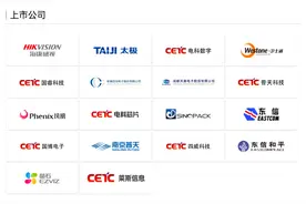 华录集团并入中国电科，涉及哪些上市公司图片