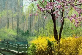 来泉城济南春游吧！带你解锁10条线路全新玩法图片