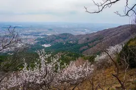 望春山 登香山｜从中医角度谈登高养生的奥秘图片