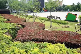 锦州：旧区焕彩 街角添绿 乡村蝶变——生态惠民谱新篇图片